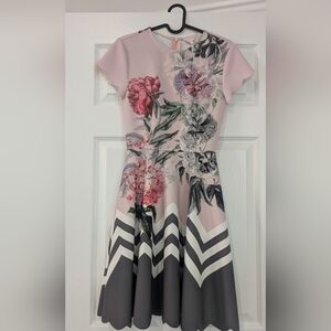 Ted Baker Painted Posie Floral Print Dusky Pink Dress Size 0